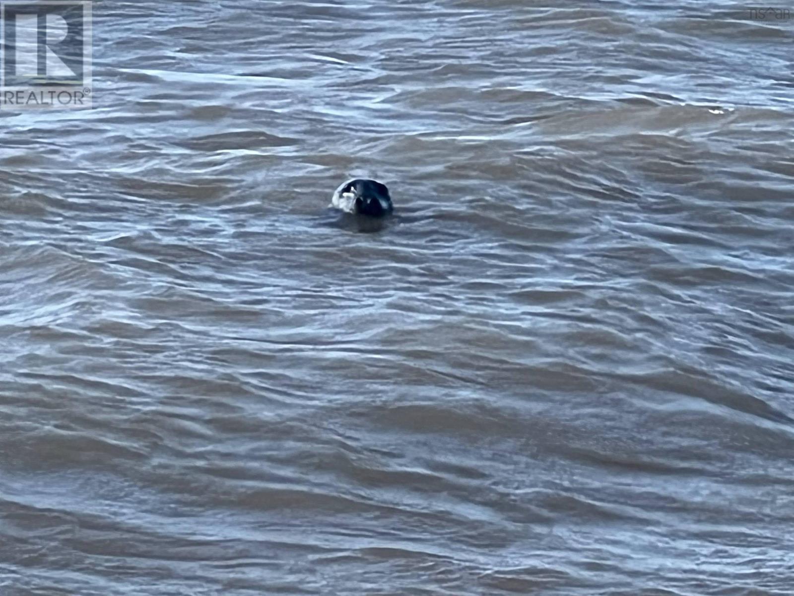 7501 Shore Road West, Phinneys Cove, Nova Scotia  B0S 1L0 - Photo 28 - 202506662