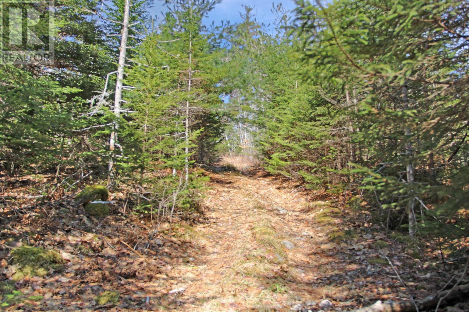 Lot 14c Woodstock Road, Walden, Nova Scotia  B0J 2E0 - Photo 6 - 202506822