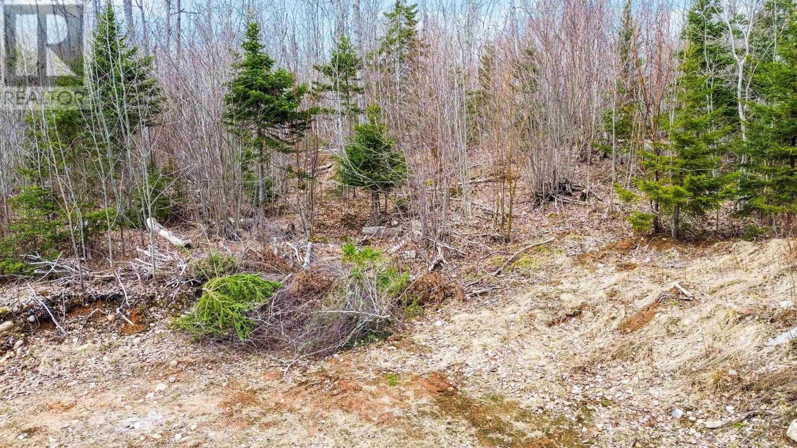 Lot 7 North River Road, Aylesford Lake, Nova Scotia  B0P 1C0 - Photo 18 - 202506890