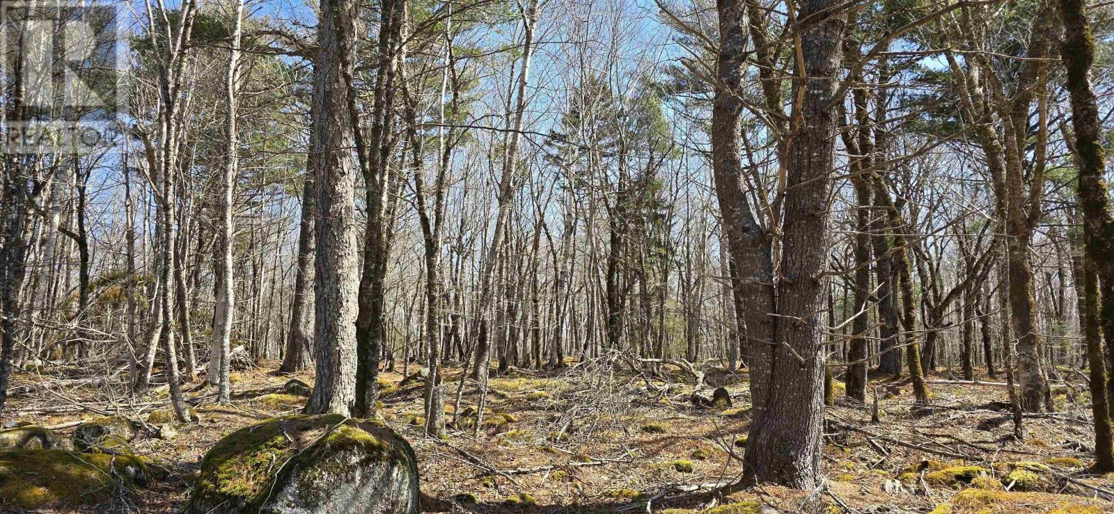 69 Sparkling Spring Lane, Labelle, Nova Scotia  B0T 1E0 - Photo 17 - 202506925