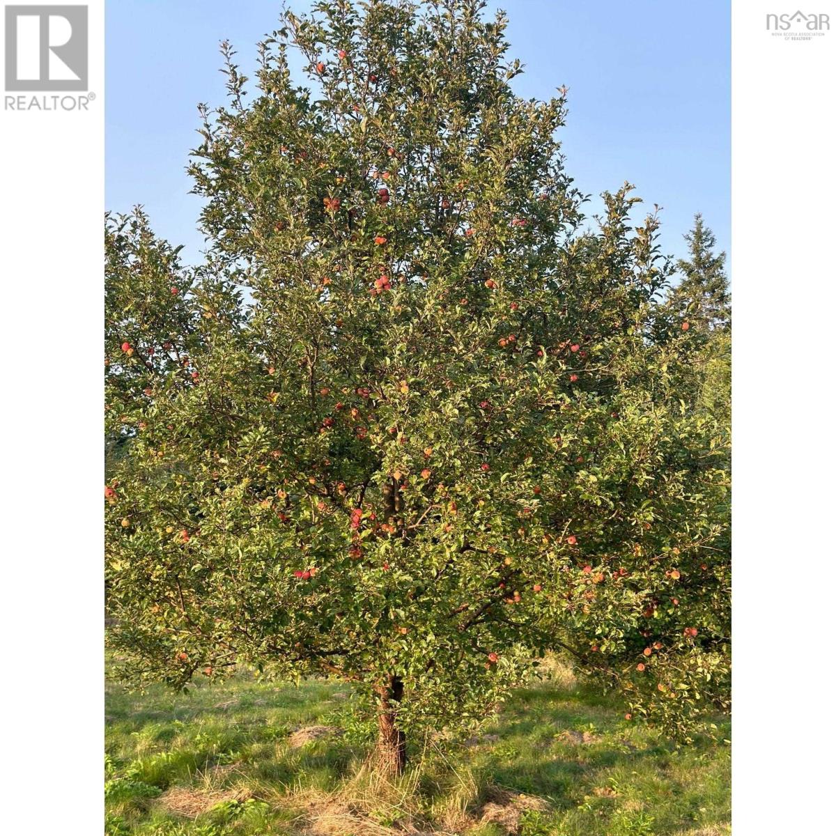 6858 Highway 105, River Denys, Nova Scotia  B0E 2Y0 - Photo 23 - 202506979