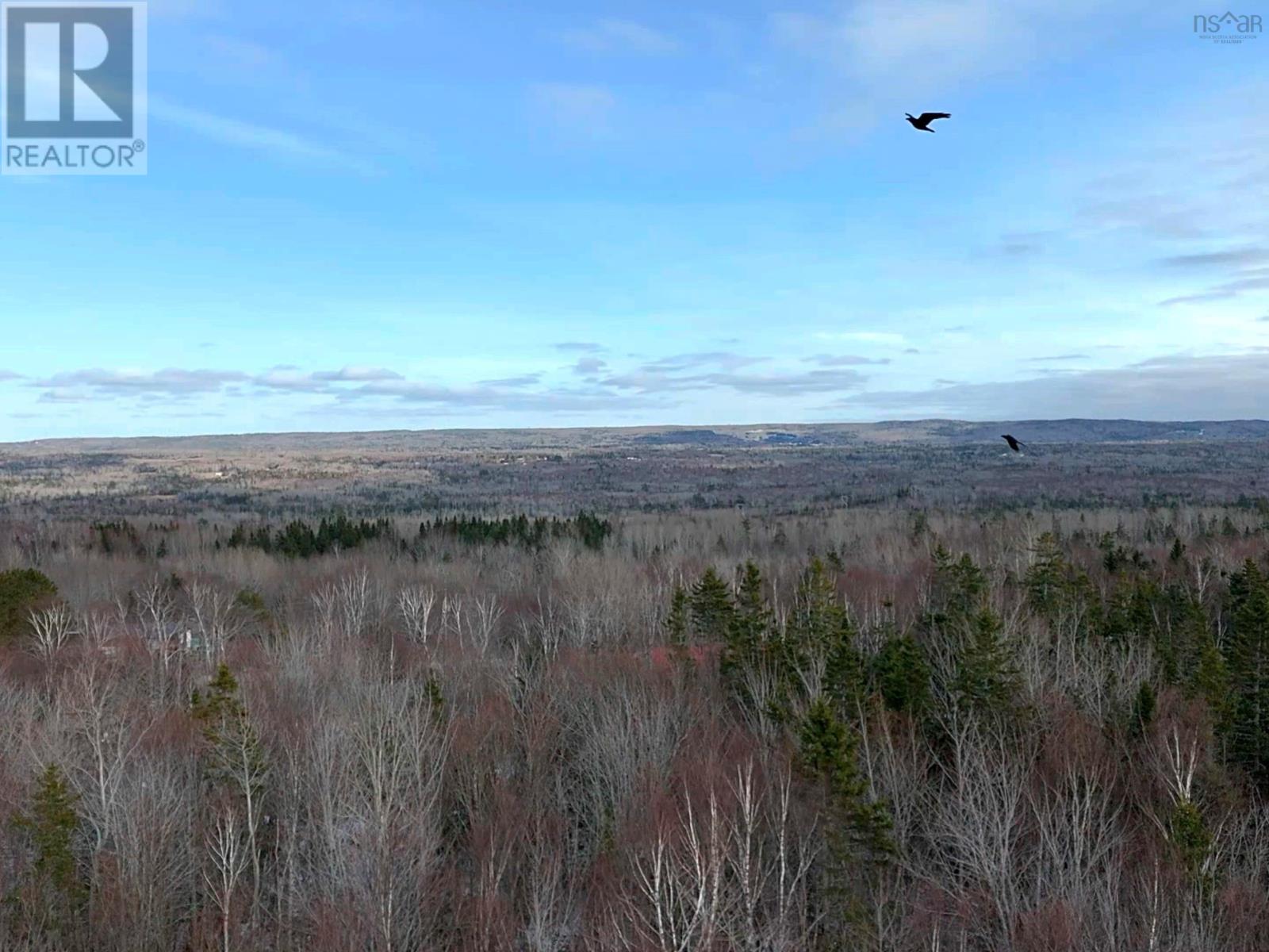 Lot 3 Leitches Creek Rd, Leitches Creek, Nova Scotia  B2A 4A5 - Photo 2 - 202506987