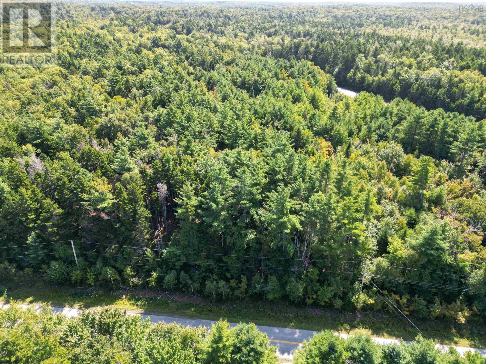 Lots Thibault Road, St. Joseph, Nova Scotia  B0W 1M0 - Photo 2 - 202507060