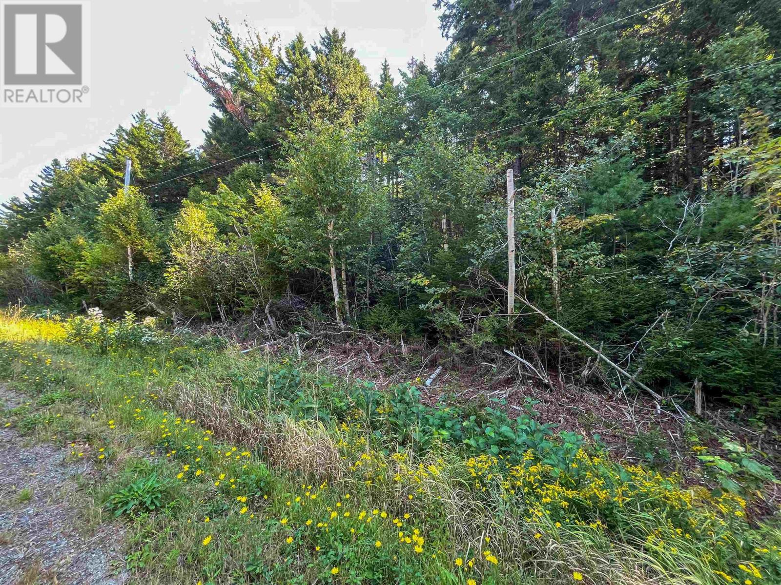 Lots Thibault Road, St. Joseph, Nova Scotia  B0W 1M0 - Photo 6 - 202507060