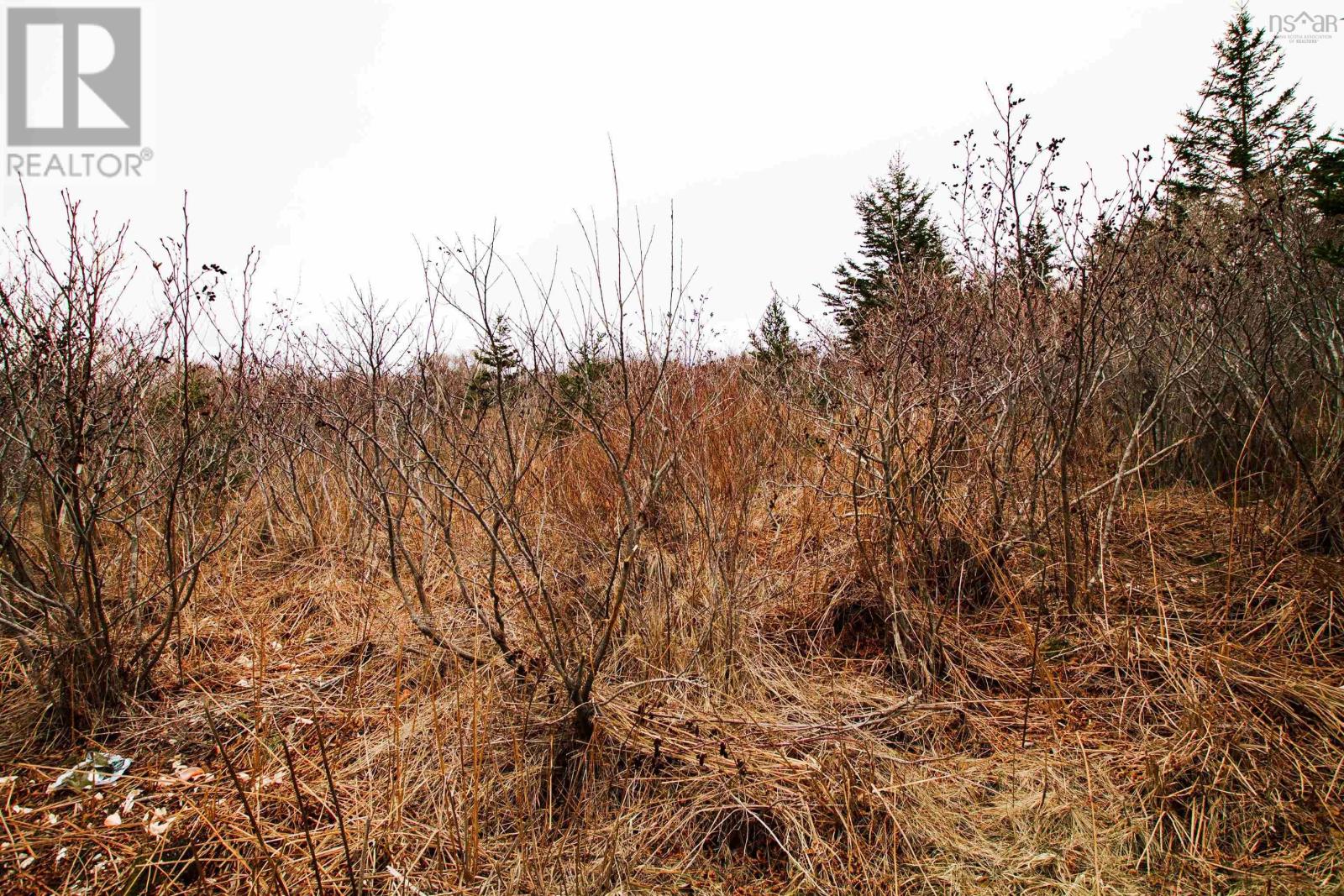 Lot 39 Quaco Road, port maitland, Nova Scotia