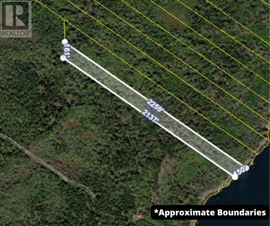 Highway 217, Central Grove, Nova Scotia  B0V 1G0 - Photo 17 - 202507658