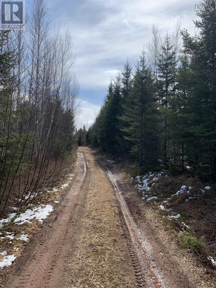 Lot Hunter West Road, Wentworth Valley Preserve, Wentworth Valley, Nova Scotia  B0M 1Z0 - Photo 2 - 202507664