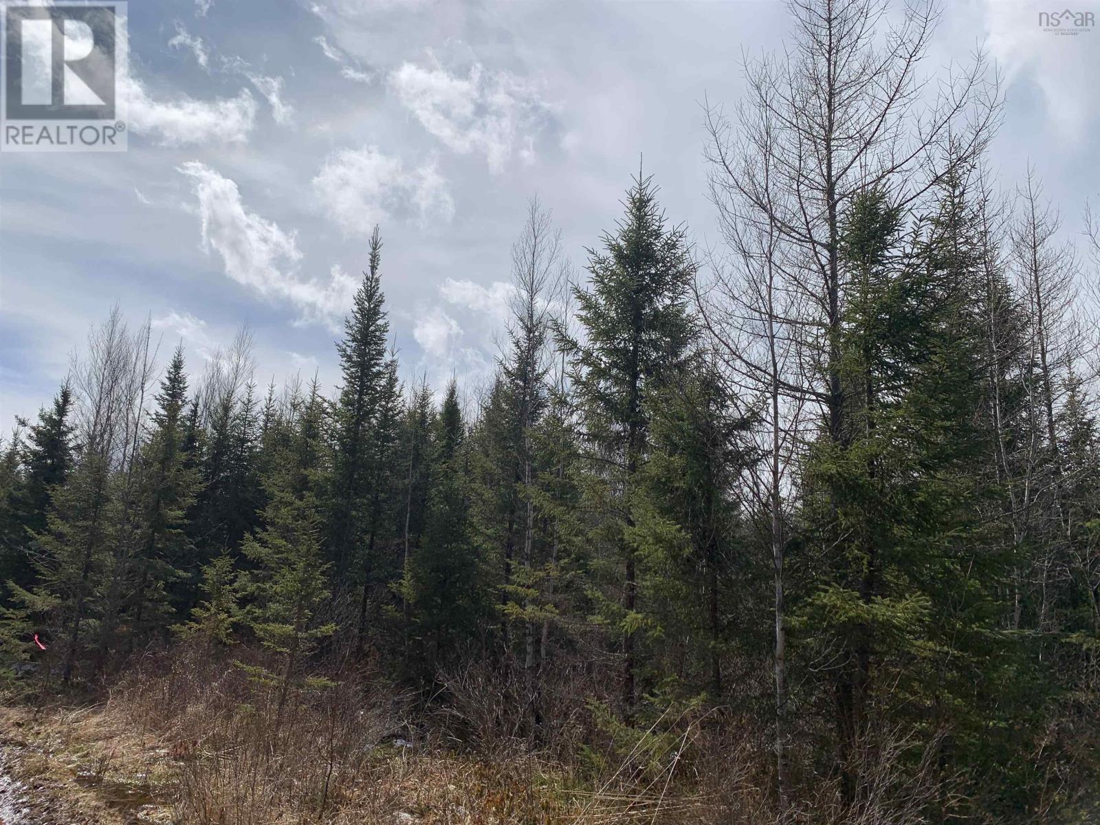 Lot Hunter West Road, Wentworth Valley Preserve, Wentworth Valley, Nova Scotia  B0M 1Z0 - Photo 4 - 202507664