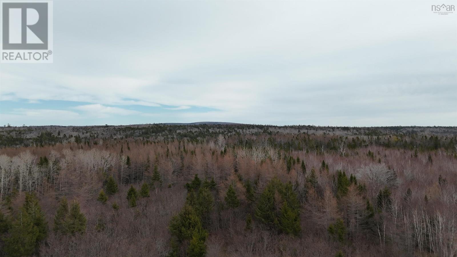 0 Highway 223, Little Narrows, Nova Scotia  B0E 1T0 - Photo 5 - 202507691