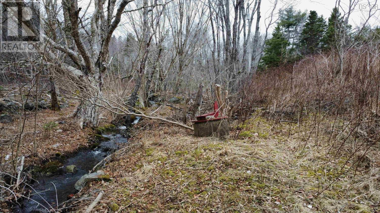 52 Adelia Road, Gold River, Nova Scotia  B0J 1K0 - Photo 20 - 202507881