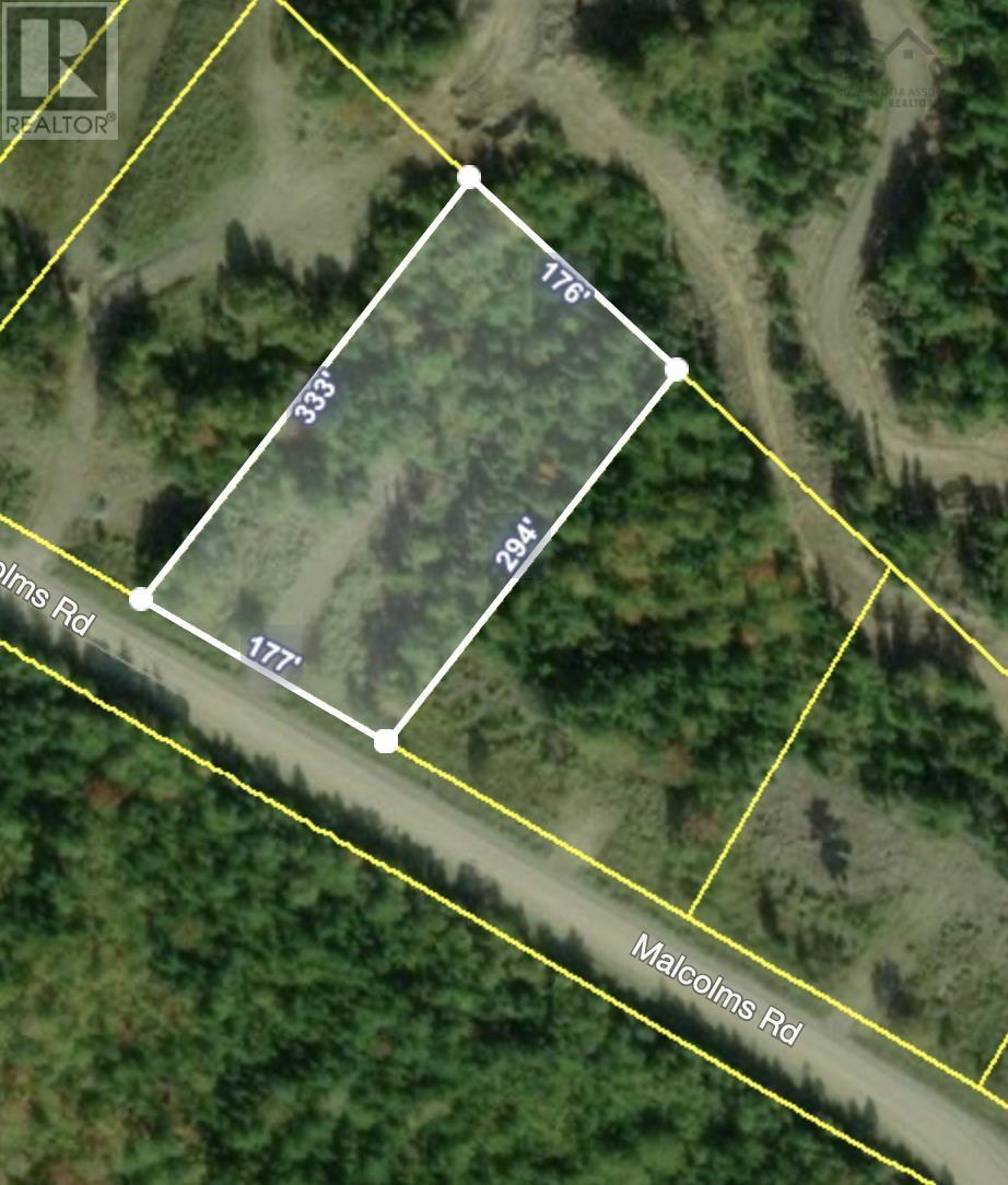 2022-11 Paradise Road, Albert Bridge, Nova Scotia  B1K 2V2 - Photo 5 - 202508079