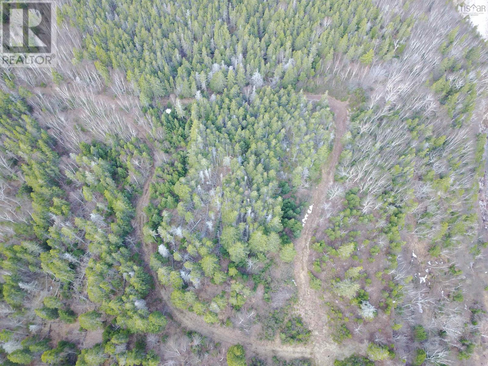 Cabot Trail, Ingonish Ferry, Nova Scotia  B0C 1L0 - Photo 15 - 202508316