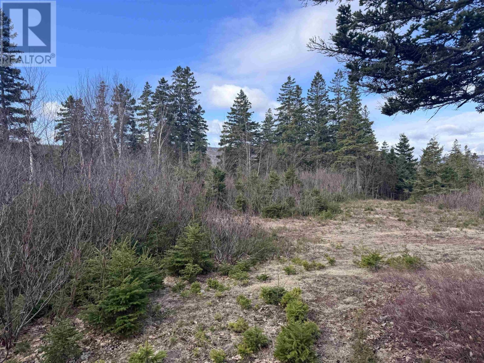 Cabot Trail, Ingonish Ferry, Nova Scotia  B0C 1L0 - Photo 32 - 202508316