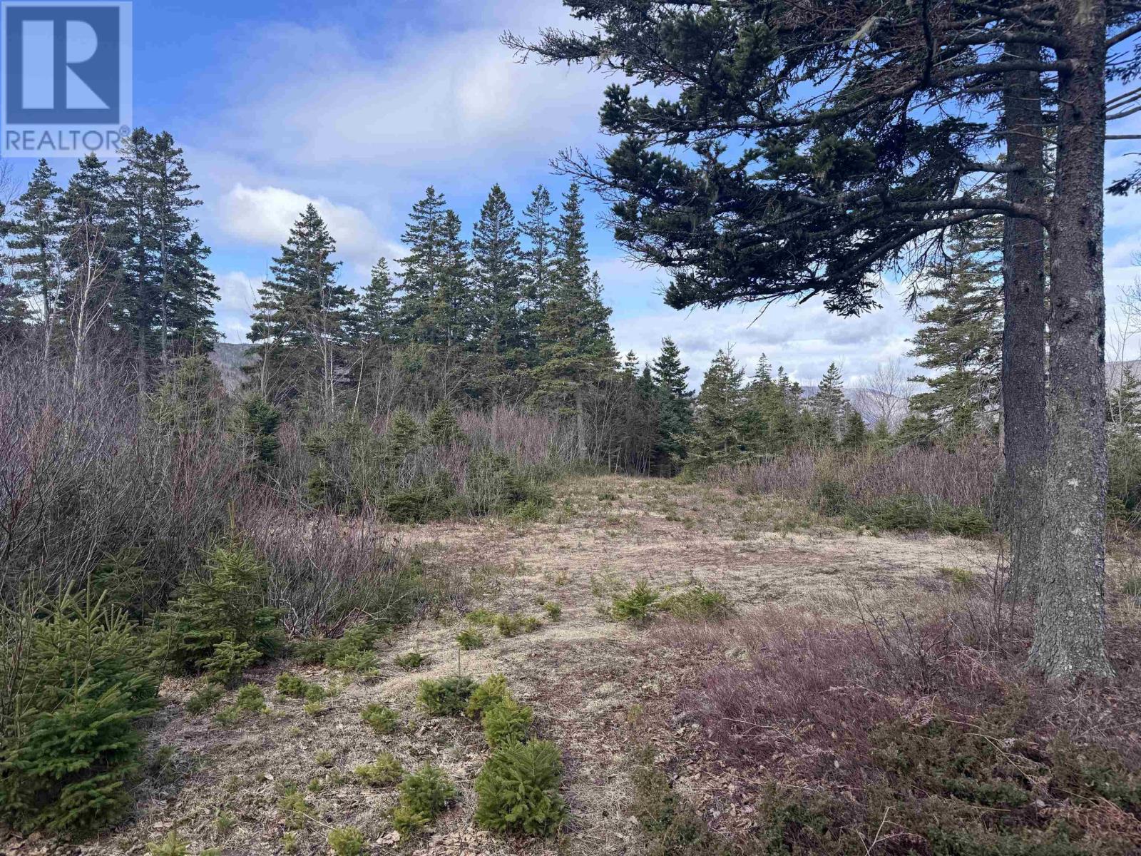 Cabot Trail, Ingonish Ferry, Nova Scotia  B0C 1L0 - Photo 8 - 202508316