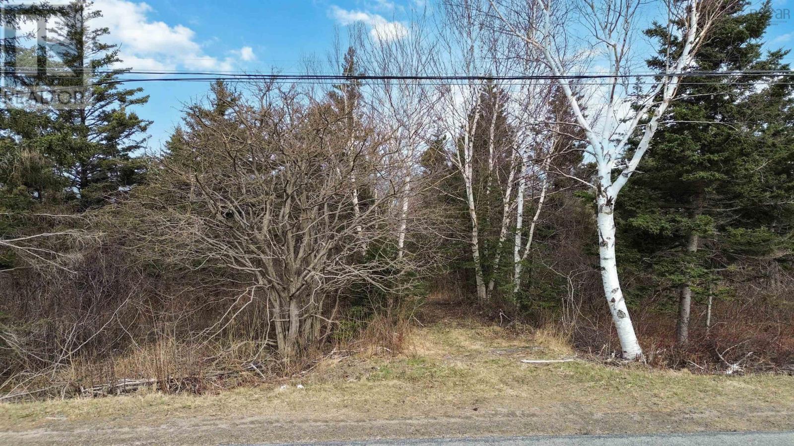 Shore Road W, Parkers Cove, Nova Scotia  B0S 1L0 - Photo 17 - 202508510