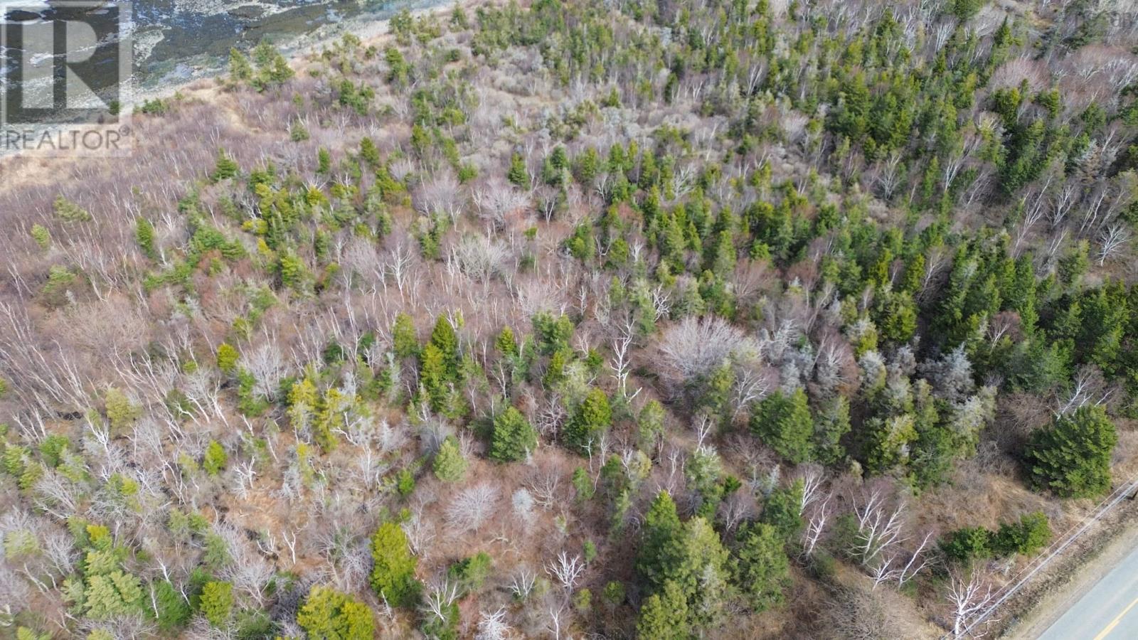 Shore Road W, Parkers Cove, Nova Scotia  B0S 1L0 - Photo 4 - 202508510