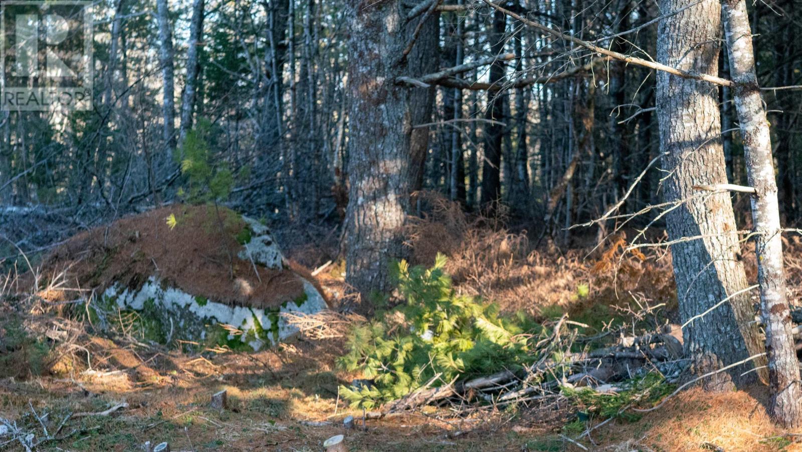 Lot Ss-1 Maple Drive, Lower Ohio, Nova Scotia  B0T 1W0 - Photo 17 - 202508651