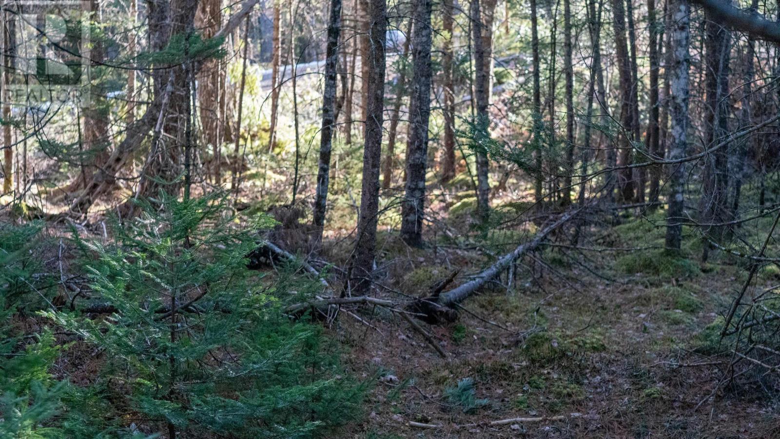 Lot Ss-1 Maple Drive, Lower Ohio, Nova Scotia  B0T 1W0 - Photo 18 - 202508651