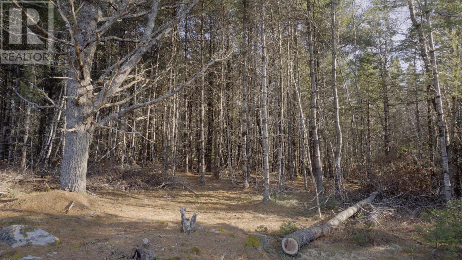 Lot Ss-1 Maple Drive, Lower Ohio, Nova Scotia  B0T 1W0 - Photo 23 - 202508651