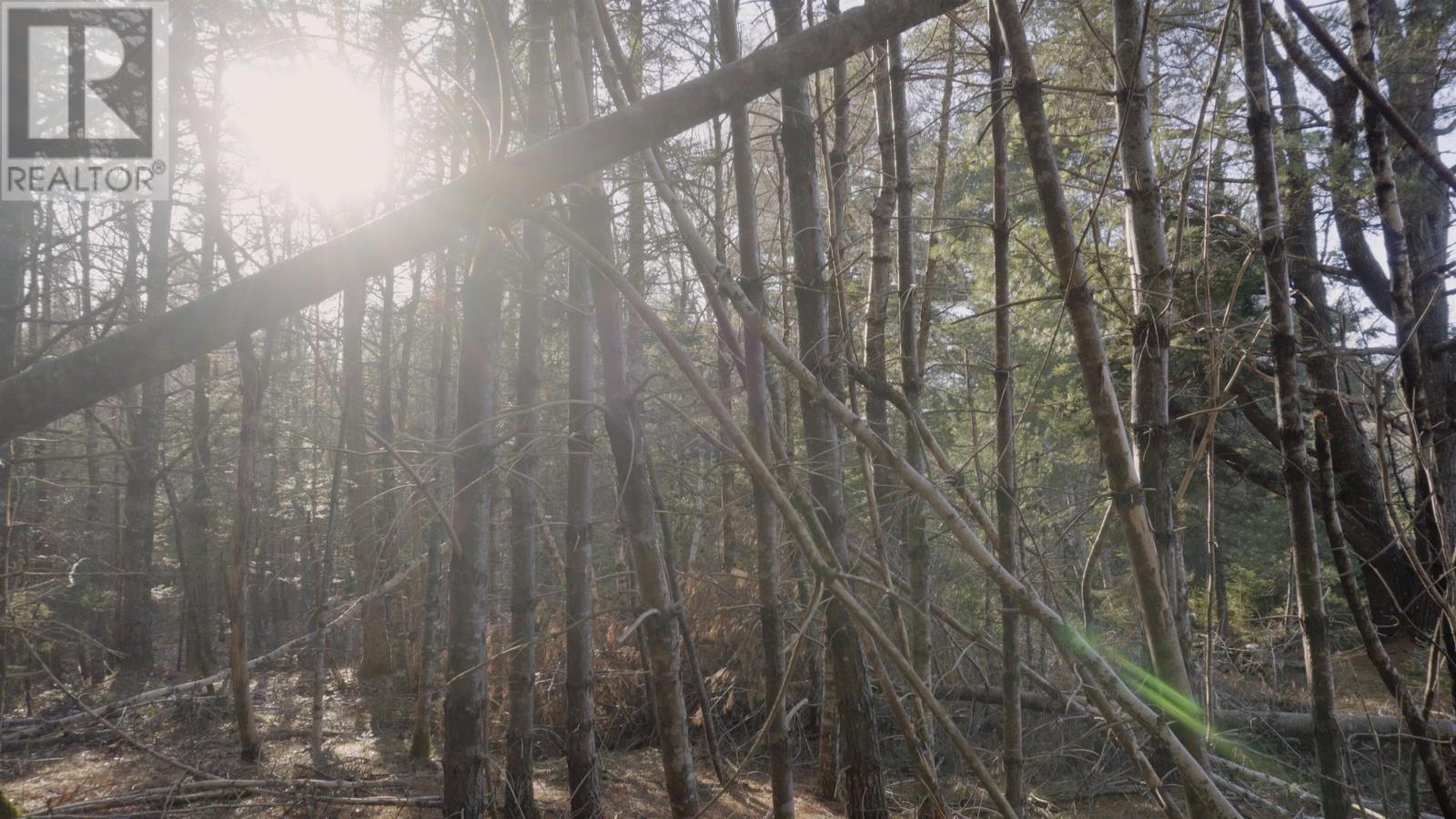 Lot Ss-1 Maple Drive, Lower Ohio, Nova Scotia  B0T 1W0 - Photo 24 - 202508651