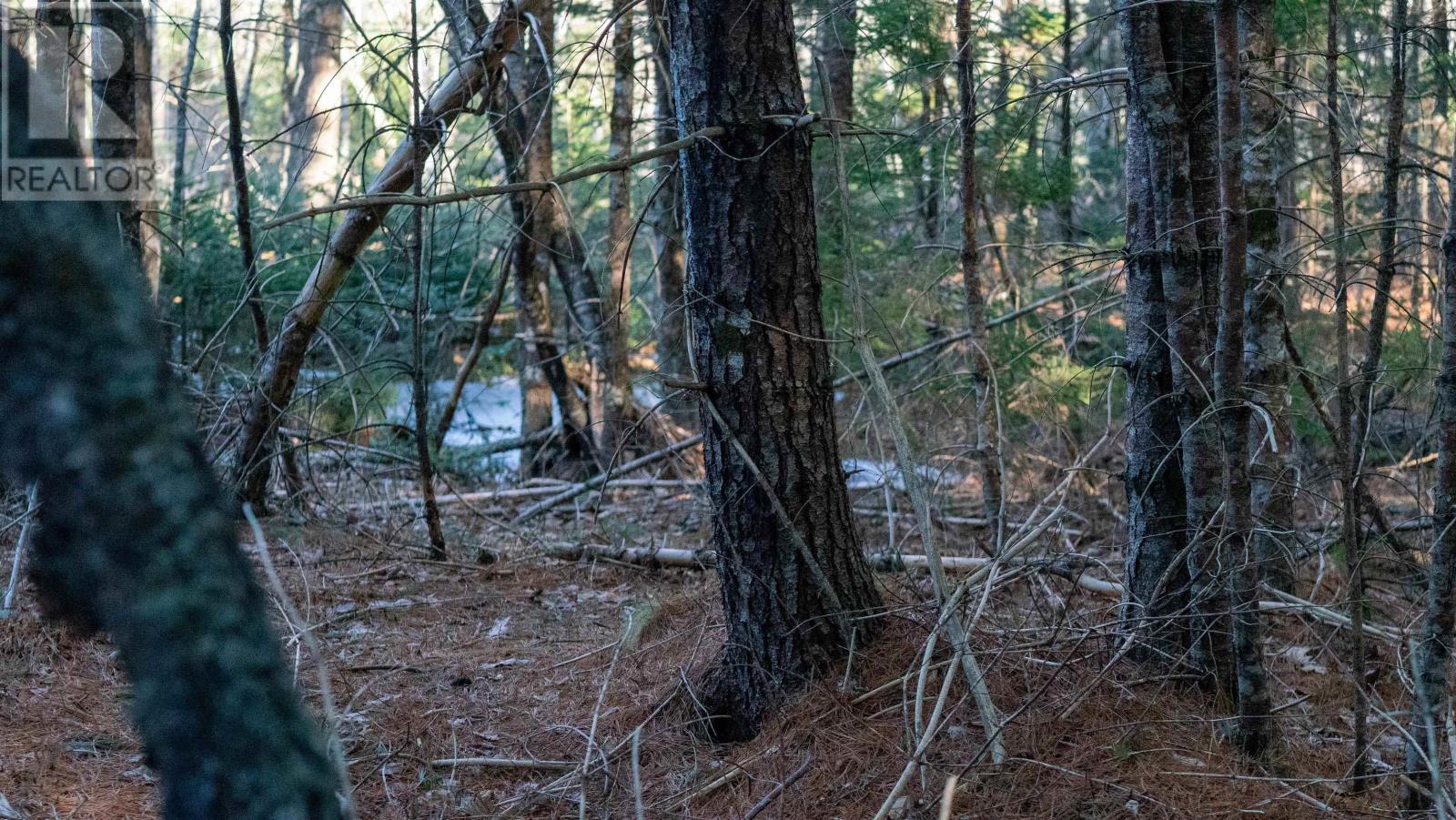 Lot Ss-1 Maple Drive, Lower Ohio, Nova Scotia  B0T 1W0 - Photo 9 - 202508651