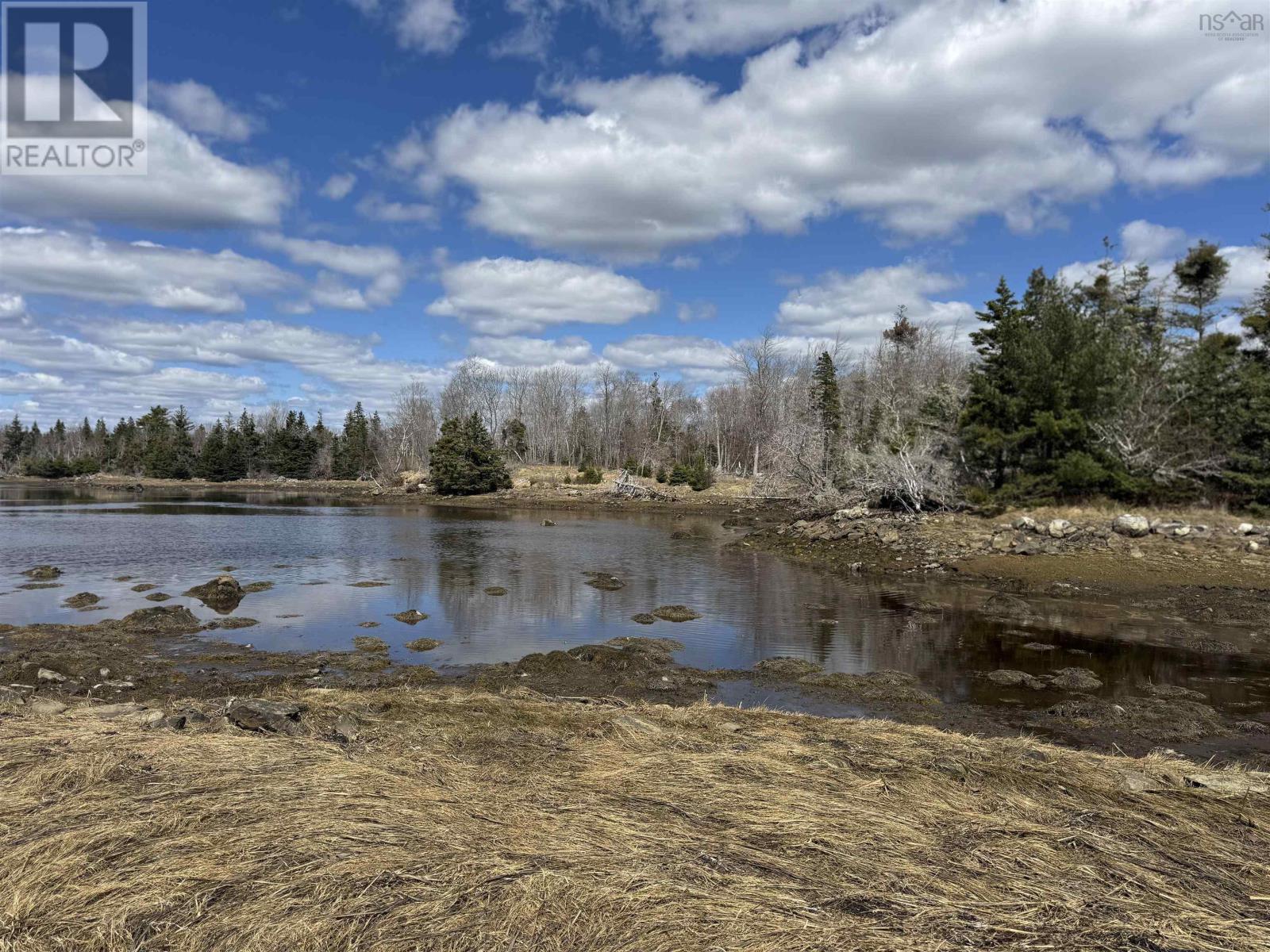 Lot 17 & Island Indian Point Road, East Port Medway, Nova Scotia  B0J 2H0 - Photo 4 - 202508661