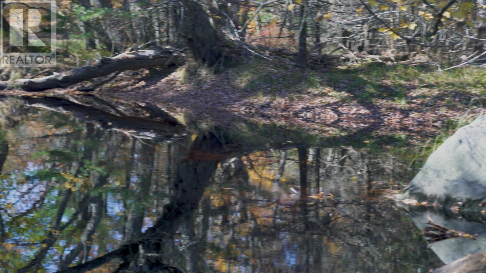 Lot 3 Maple Drive, Lower Ohio, Nova Scotia  B0T 1W0 - Photo 11 - 202508664