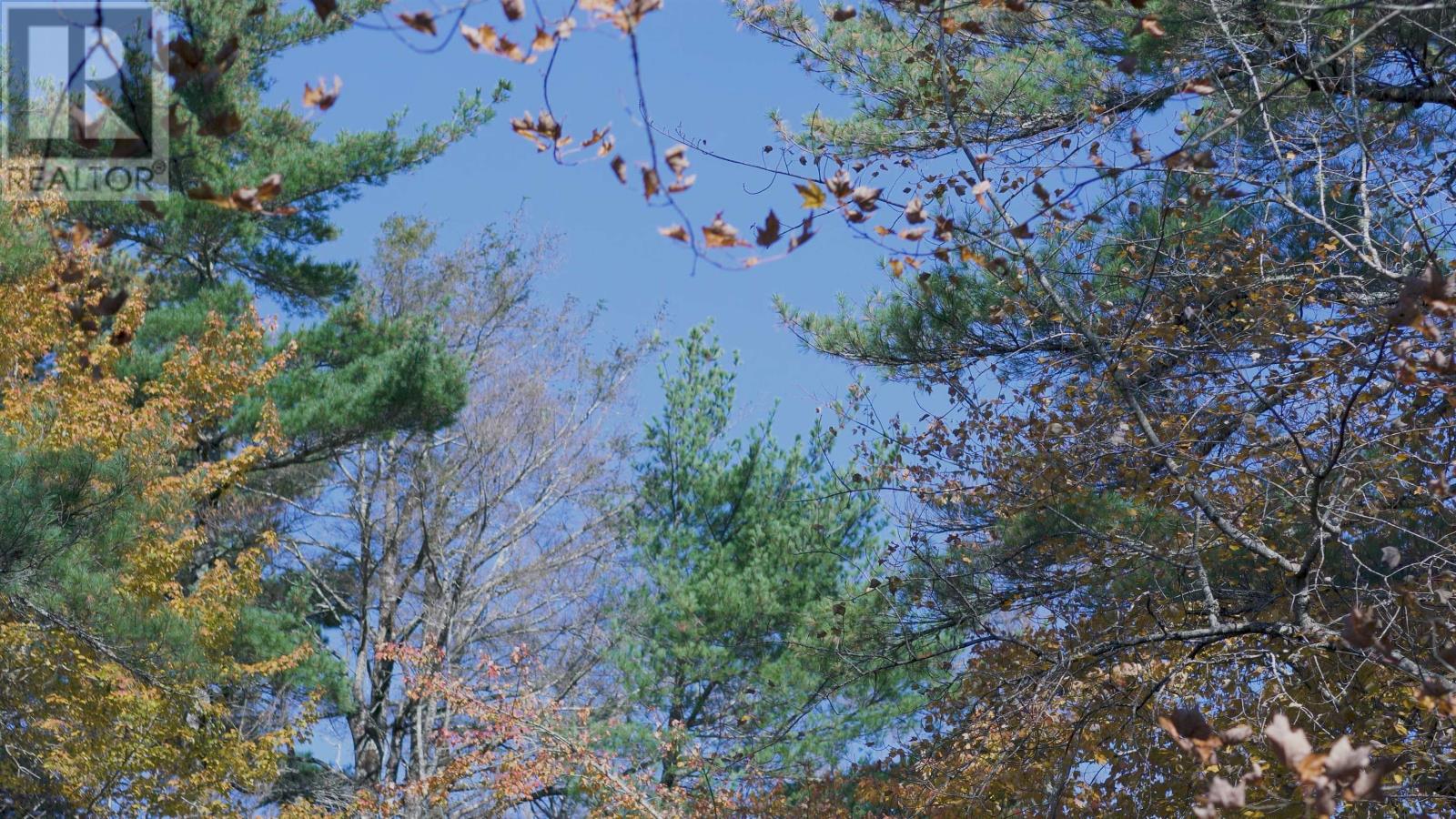 Lot 3 Maple Drive, Lower Ohio, Nova Scotia  B0T 1W0 - Photo 14 - 202508664