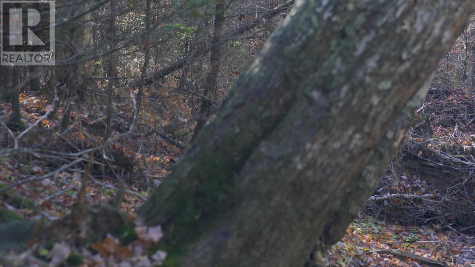 Lot 3 Maple Drive, Lower Ohio, Nova Scotia  B0T 1W0 - Photo 16 - 202508664