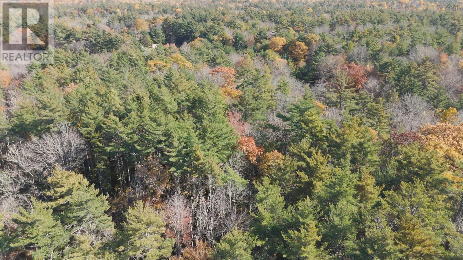 Lot 3 Maple Drive, Lower Ohio, Nova Scotia  B0T 1W0 - Photo 19 - 202508664