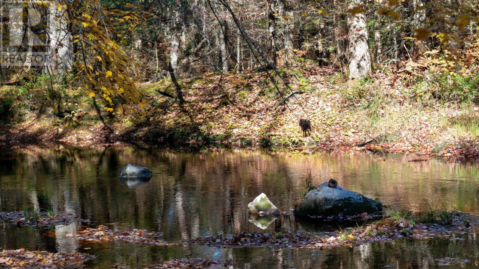 Lot 3 Maple Drive, Lower Ohio, Nova Scotia  B0T 1W0 - Photo 2 - 202508664