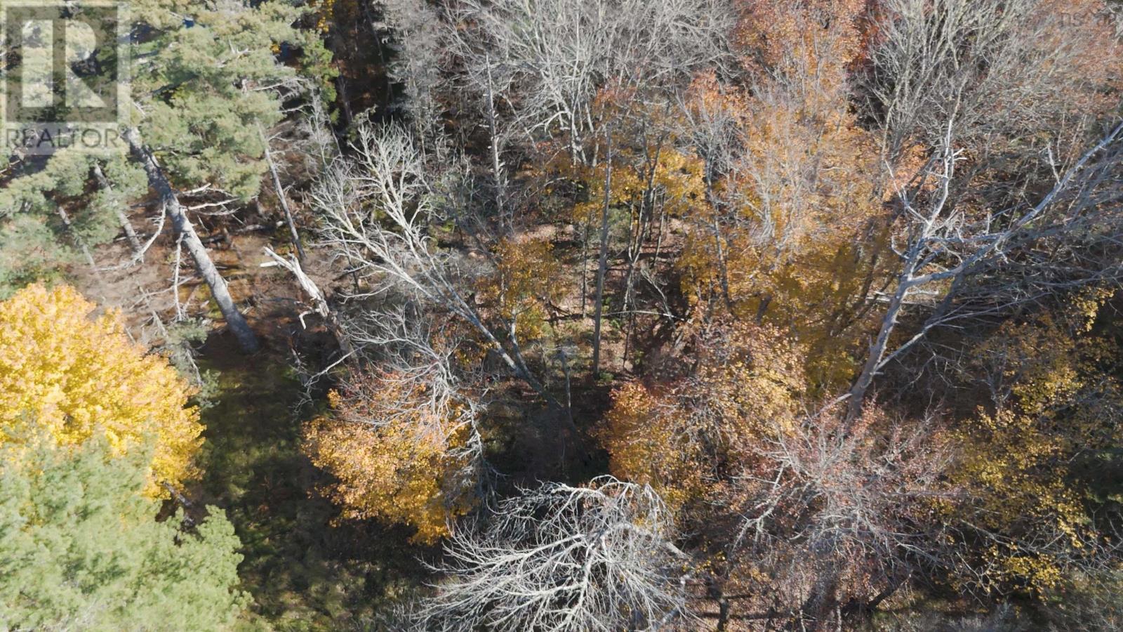 Lot 3 Maple Drive, Lower Ohio, Nova Scotia  B0T 1W0 - Photo 25 - 202508664