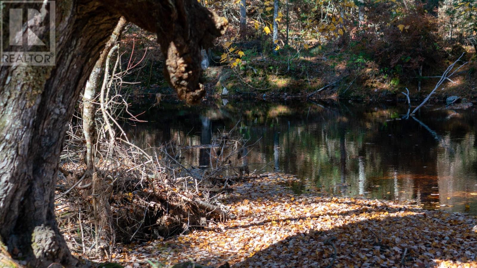 Lot 3 Maple Drive, Lower Ohio, Nova Scotia  B0T 1W0 - Photo 5 - 202508664