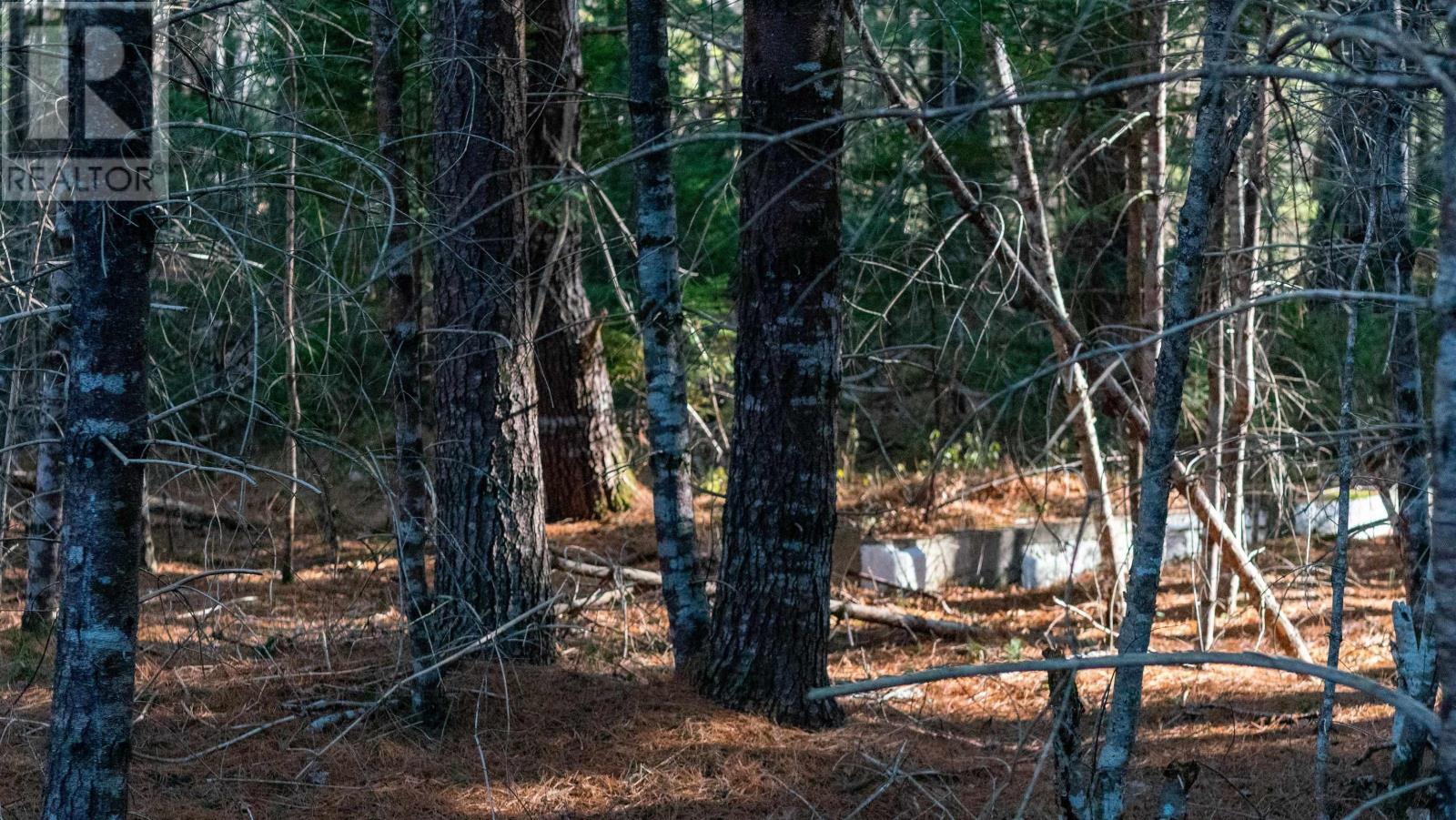 Lot 3 Maple Drive, Lower Ohio, Nova Scotia  B0T 1W0 - Photo 8 - 202508664