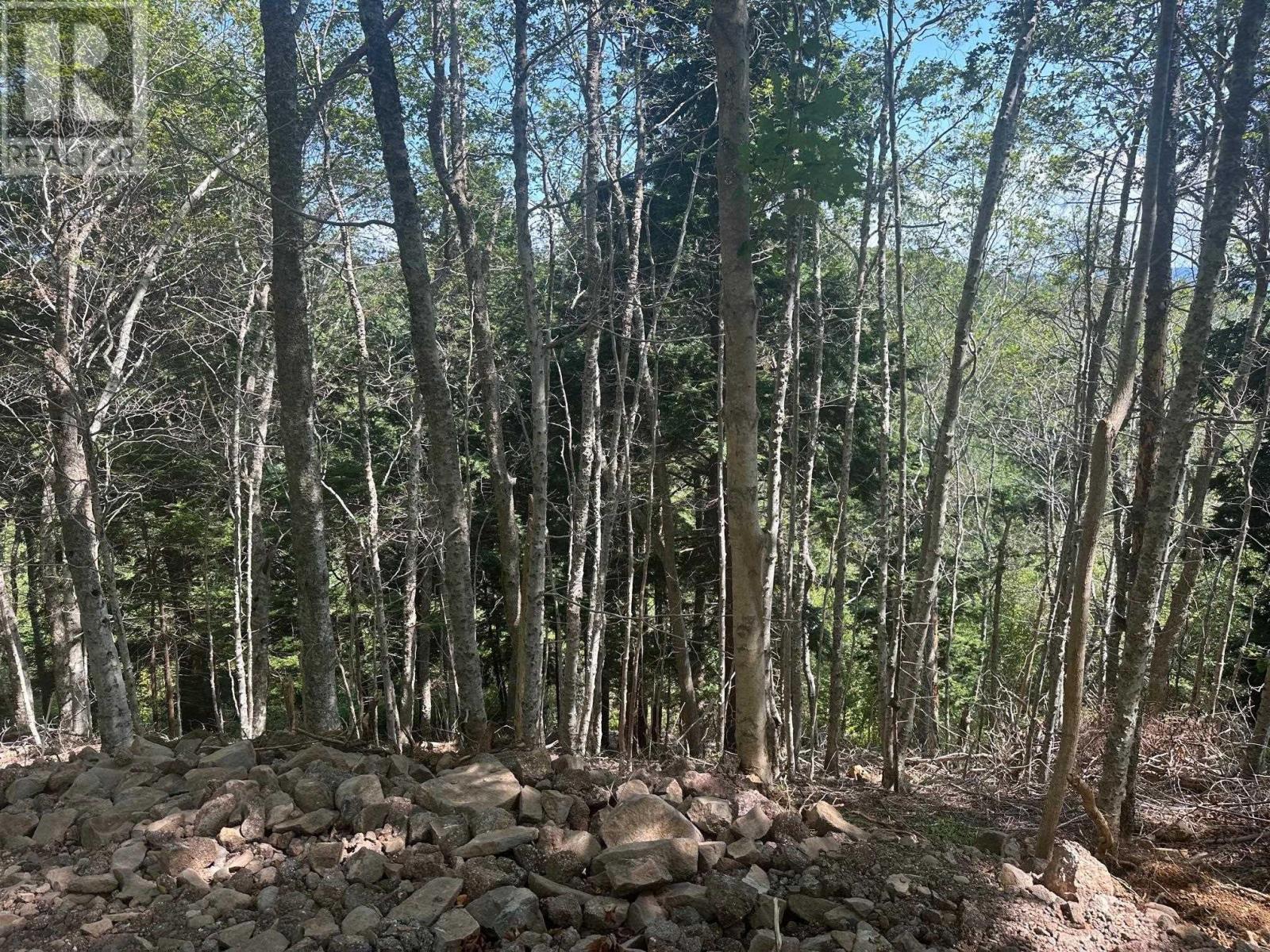 Lot 2 Highway 362, Victoria Vale, Nova Scotia  B0S 1P0 - Photo 8 - 202508863