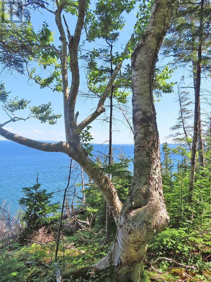 195 Acres West Bay Highway, Roberta, Nova Scotia  B0E 3K0 - Photo 12 - 202509009