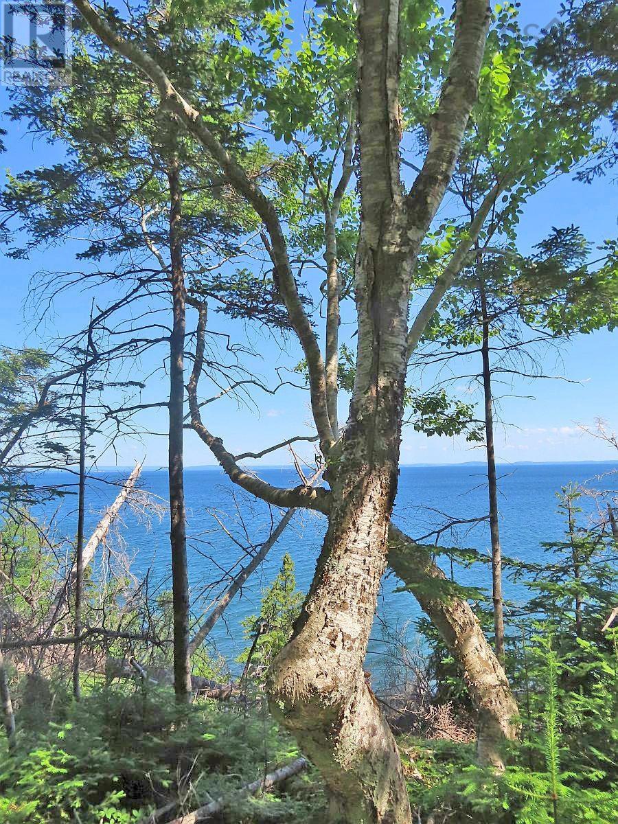 195 Acres West Bay Highway, Roberta, Nova Scotia  B0E 3K0 - Photo 14 - 202509009