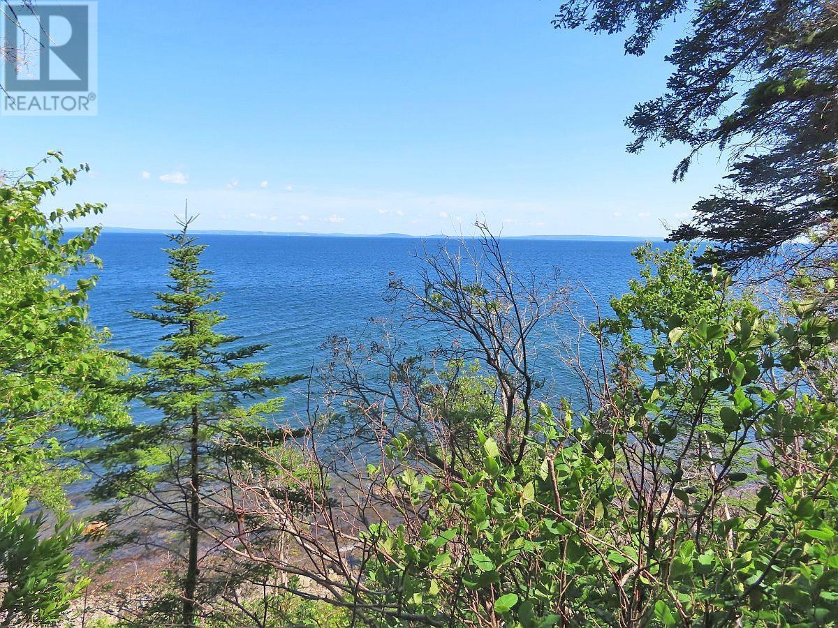 195 Acres West Bay Highway, Roberta, Nova Scotia  B0E 3K0 - Photo 9 - 202509009