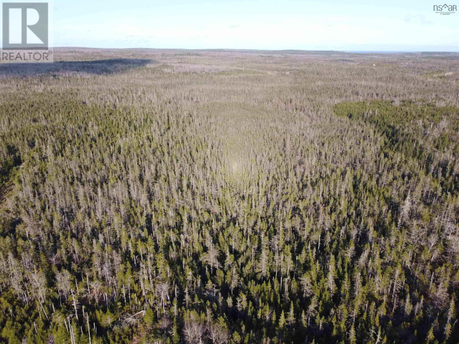 Lot 22 & 23 Trafalgar Rd Highway 374, Sheet Harbour, Nova Scotia  B0J 3B0 - Photo 8 - 202509114