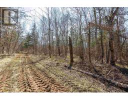 Lot 2 Seaman Street, east margaretsville, Nova Scotia