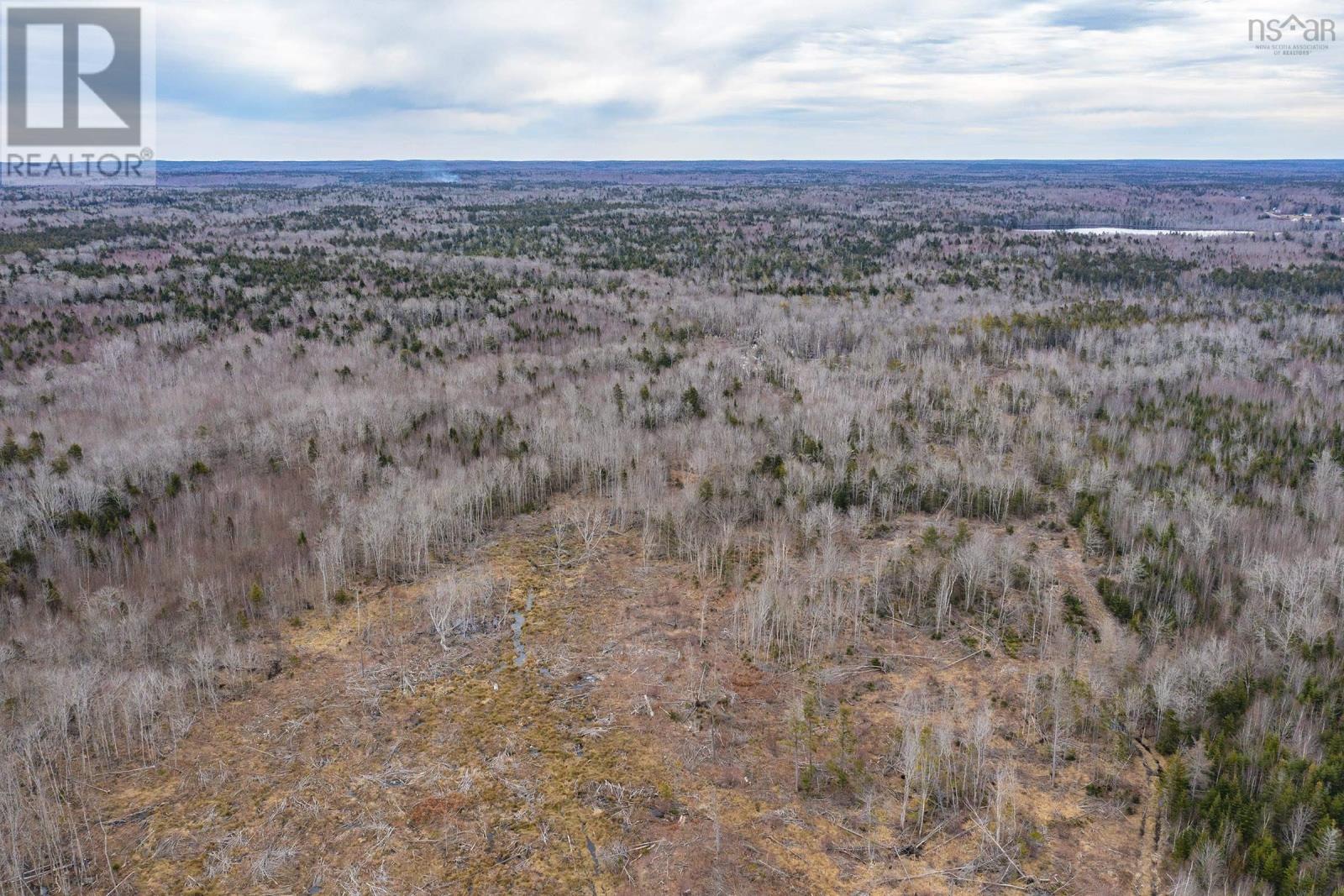 Highway 101, Plympton, Nova Scotia  B0W 3T0 - Photo 15 - 202509178