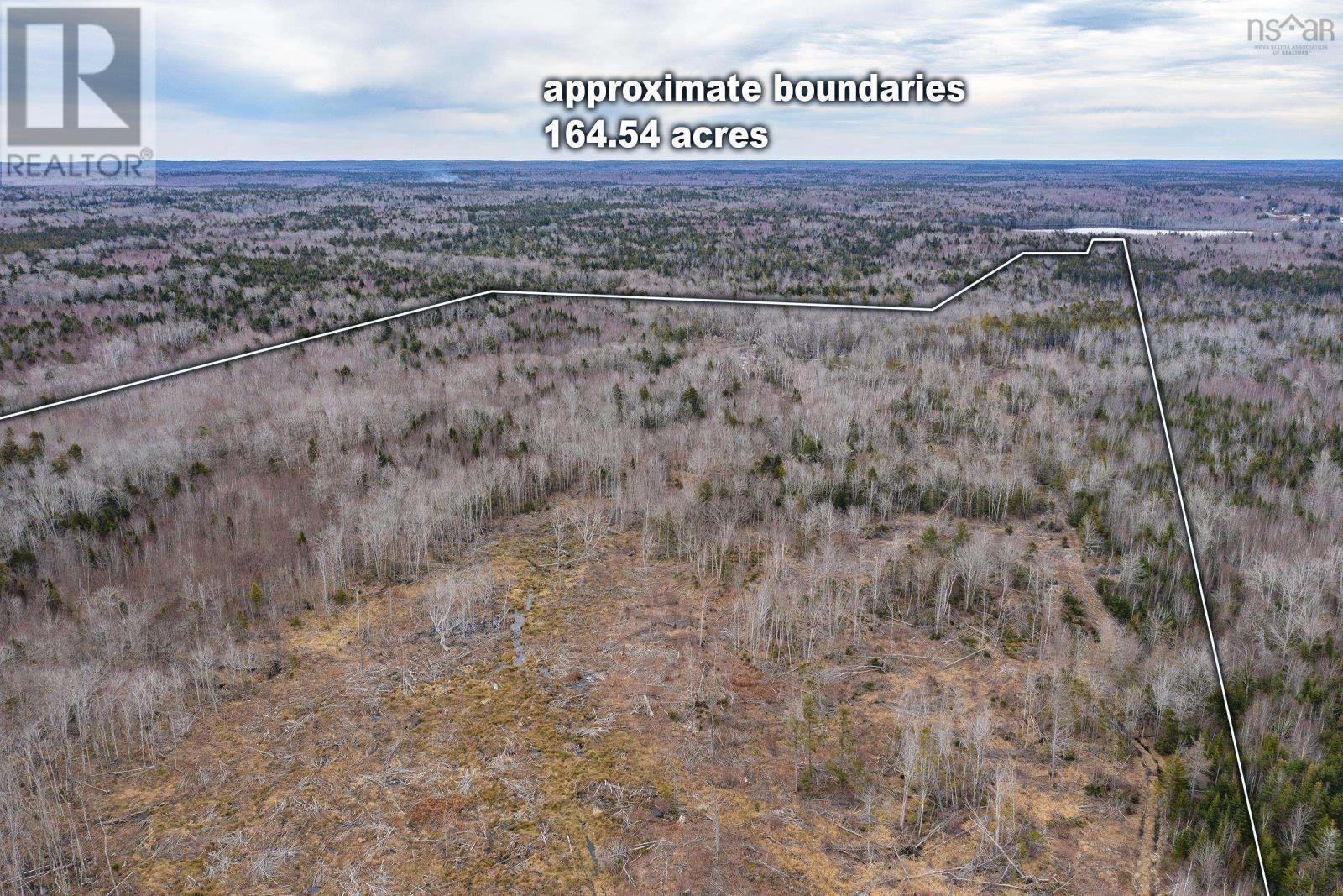 Highway 101, Plympton, Nova Scotia  B0W 3T0 - Photo 16 - 202509178