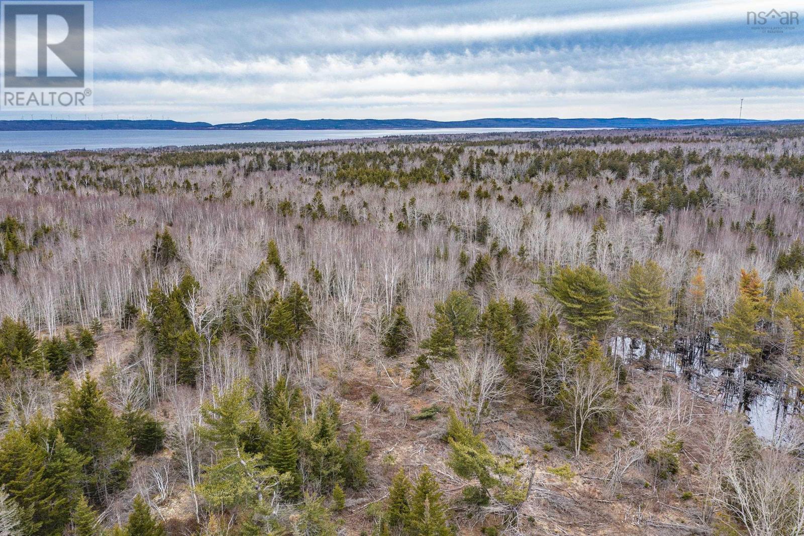 Highway 101, Plympton, Nova Scotia  B0W 3T0 - Photo 20 - 202509178