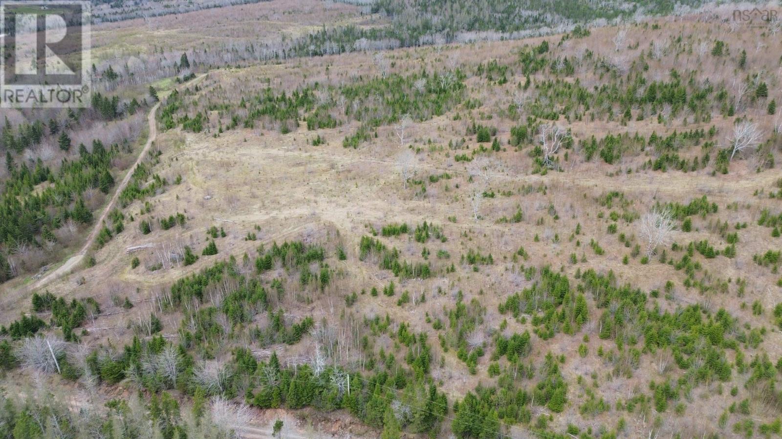 Acreage Mason Road, Glendale, Nova Scotia  B0E 3L0 - Photo 4 - 202509195