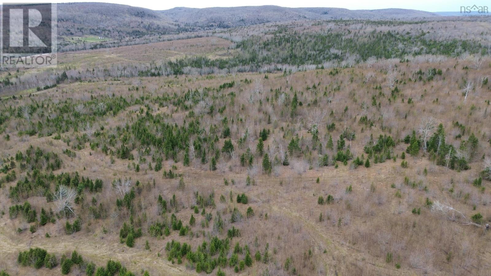 Acreage Mason Road, Glendale, Nova Scotia  B0E 3L0 - Photo 7 - 202509195