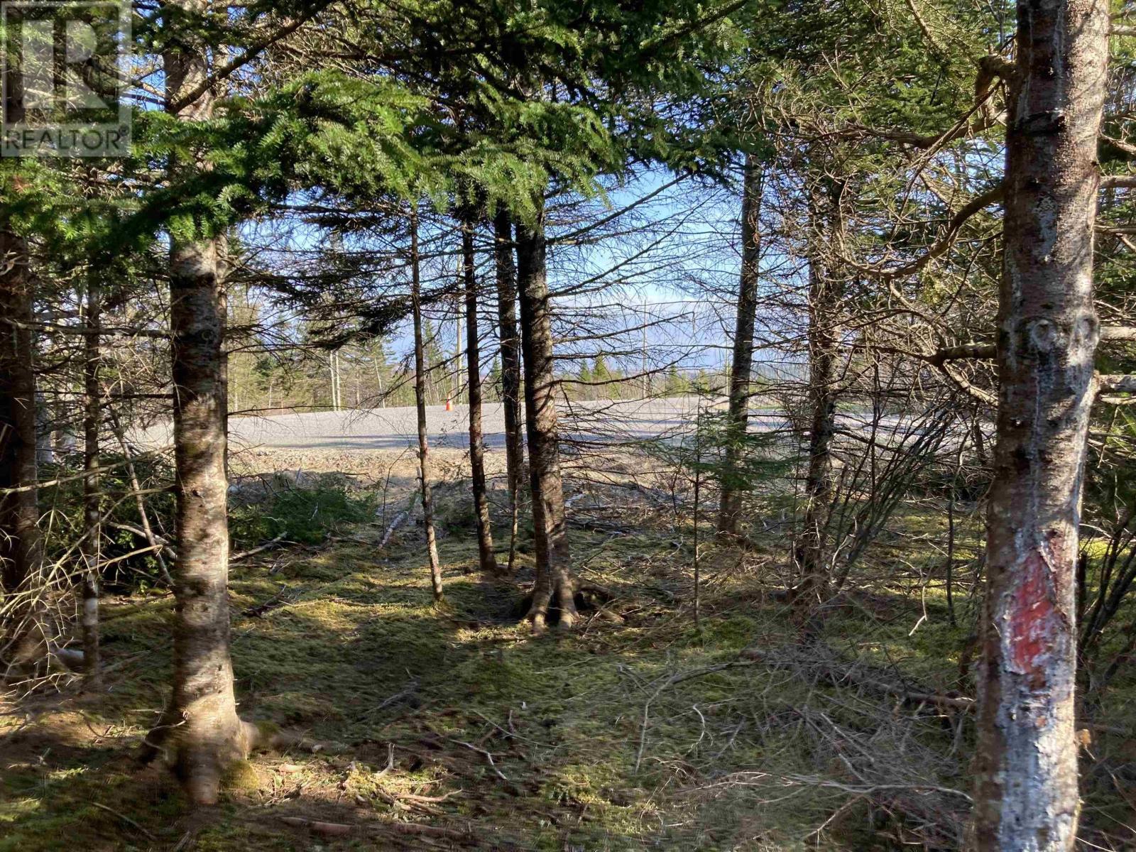 Lot 21-10 Mary Cecelia Ridge, Antigonish County, Nova Scotia  B0H 1P0 - Photo 22 - 202509476