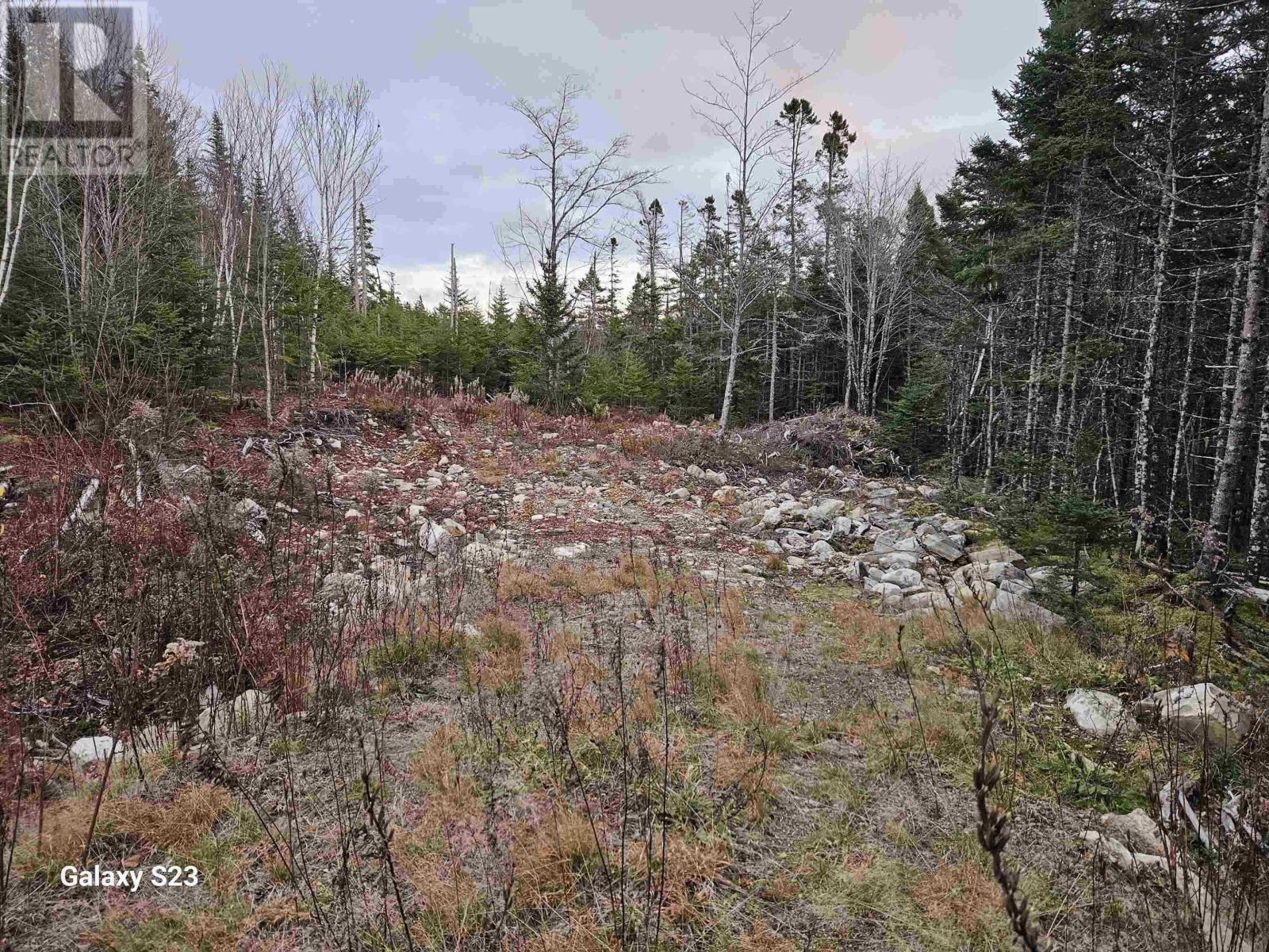 165 Ostrea Lake Road, Musquodoboit Harbour, Nova Scotia  B2Z 1E9 - Photo 11 - 202509546