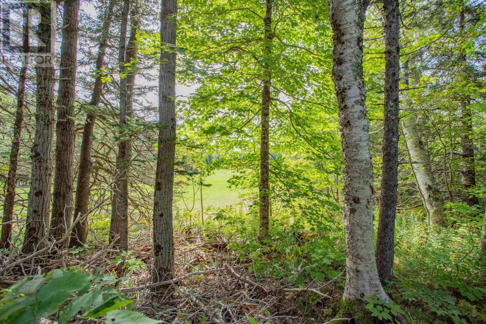 Lot Hamilton Road, Harbourville, Nova Scotia  B0P 1E0 - Photo 3 - 202509814