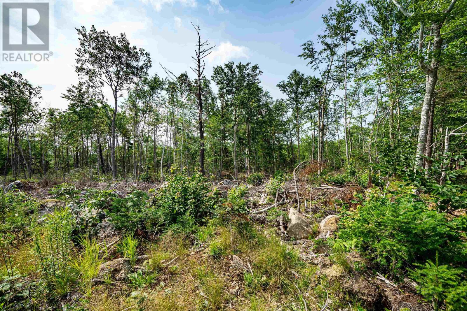 Lot 6 Victory Road, Victory, Nova Scotia  B0S 1A0 - Photo 12 - 202509828