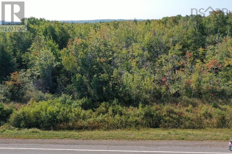 No 104 Highway, Wentworth, Nova Scotia  B0M 1X0 - Photo 8 - 202510026